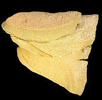 photo of sandy paste sherds