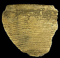 photo of pottery sherd