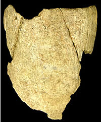 photo  of steatite