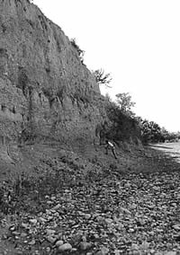 photo of shelter terrace face