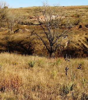 photo of West Amarillo Creek