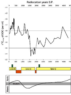 illustrated summary of soil organic carbon changes through time