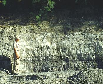 Geologist Grayson Mead stands beside freshly cleaned exposure of Folsom-age diatomite deposits, June, 1951. Photo by Glen Evans, courtesy Texas Memorial Museum.