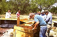 Water-screening to recover small artifacts and bones at Lubbock Lake Landmark. Photo by E. Mott Davis.