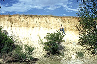 Grayson Meade examines the top of the Blancan Formation (the bright white caliche), which formed at least two million years ago. The darker deposits on top of this formation are much younger in age. Photo by Glen Evans, courtesy Texas Memorial Museum.