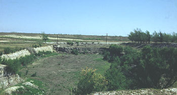 View of large reservoir area in northwest part of site. The TMM did little work in this area. The only Clovis point from the site was found on the berm on the right formed by dredging out the reservoir. Eileen Johnson later conducted major excavations in this area of the site. Photo by Glen Evans, courtesy Texas Memorial Museum.