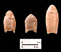 Folsom points from TMM excavations. The specimen on the left and the one on the right are casts of the originals. Photo by Milton Bell.