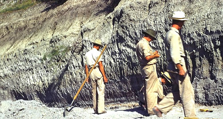 Geologists examine Folsom deposits at Lubbock Lake, 1949. Photo by Glen Evans, courtesy of the Texas Memorial Museum. 