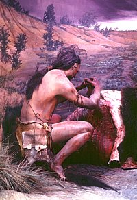 Butchering a Bison, 1. A hunter begins to carve meat off the hindquarter of a partially skinned bison (buffalo). This scene combines a sculpture by Mike O'Brien, with a stuffed bison, and a background scene painted by Nola Davis.