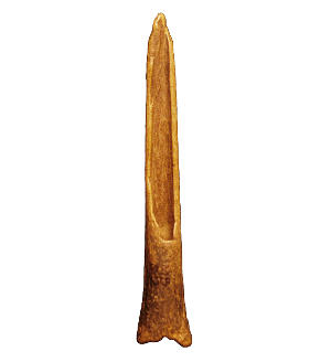 photo of bone awl,