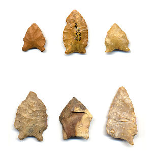 photo of Early Archaic points