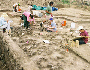 photo of the excavation