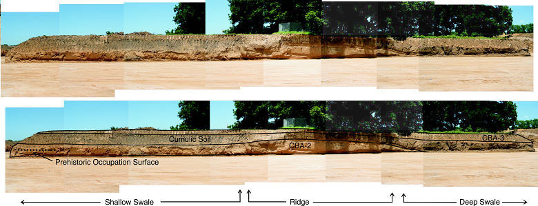 photo of excavation profiles