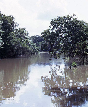 Image of shell midden sites.