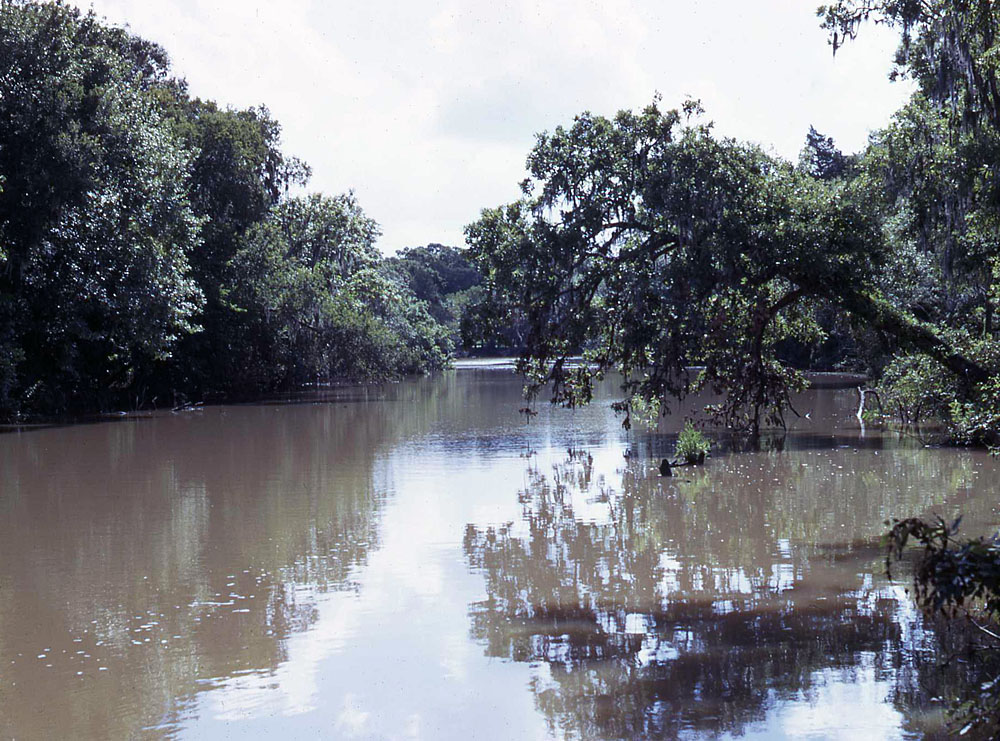 Image of shell midden sites.