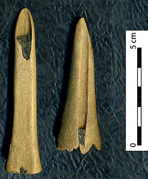 Image of socketed bone points.