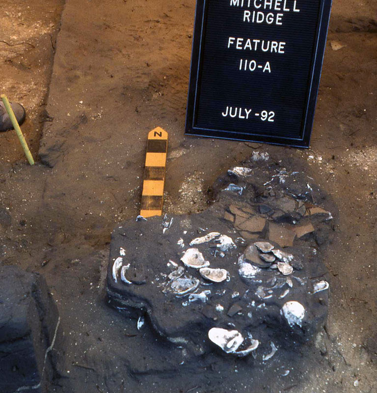 Image of Shell and pottery-lined hearth.