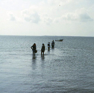 Image of TAS field school participants.