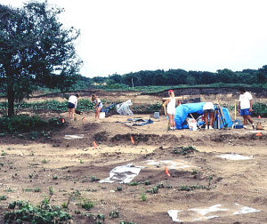 Image of the 1992 investigations in progress in Area 4 looking northeast.