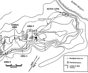 Image of the Site map of 1992 excavations.