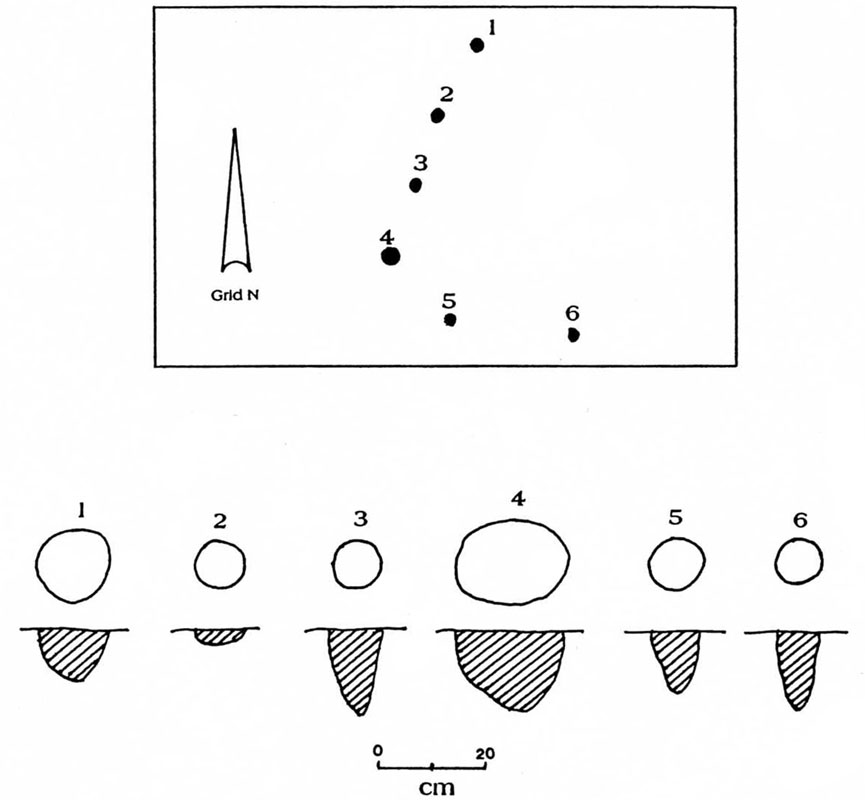 Image of Plan map and plan of cross-section drawings of six post molds.