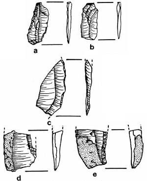 Image of Prismatic blades and blade fragments from the Block Excavations.