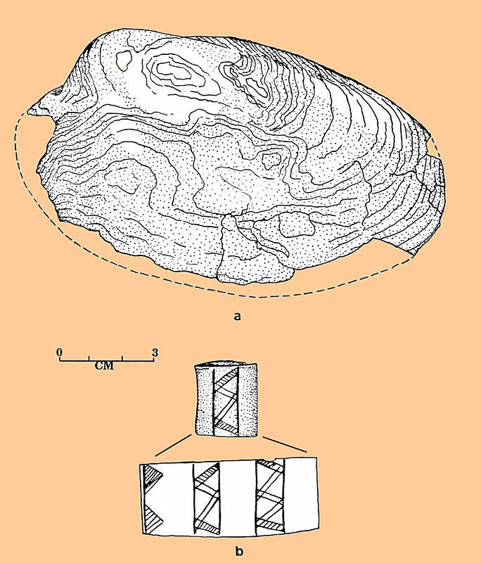 Image of freshwater clam shell.