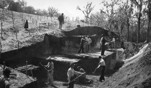photograph of the excavation