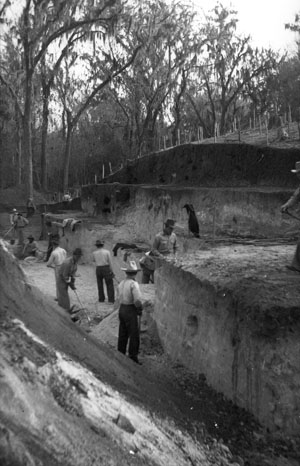 photograph of terrace excavation