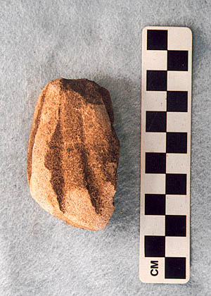 photograph