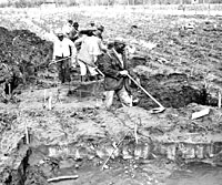 WPA crew at work on village excavations.