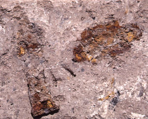 Photo of metal hinge found in the layer of burned daub