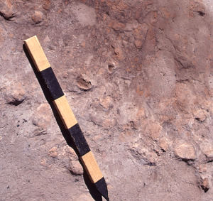 View of the mounded daub and charcoal deposit surrounding the Ysleta Jacal