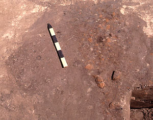 Planview of one of the pits discovered on the floor of the Ysleta Jacal