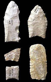 photo of early Paleoindian artifacts