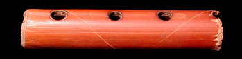 Some kind of rodent chewed on this painted cane flute.