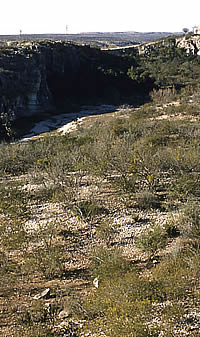 photo of Javelina Bluff