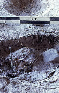 photo of excavations