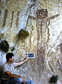 This rock art panel has several styles of Lower Pecos rock art. Most of the elements including the large shaman figure just to the right of the sign board are of the Pecos River style. But the smaller dark red anthropomorphic figure with down-turned arms just to the right of the shaman element is of the Red Monochrome style. Photo from ANRA-NPS Archives at TARL.