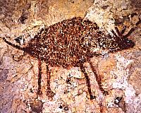 Close up of an animal figure, perhaps representing a deer. Photo from ANRA-NPS Archives at TARL.