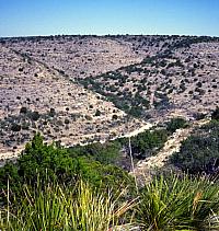 Oasis-like bands of green vegetation along the canyon floors stand in contrast to the dry rocky uplands. Different sets of plants and animals can be found in both canyon and upland environments, a fact that prehistoric peoples used to their advantage. Photo from ANRA-NPS Archives at TARL.