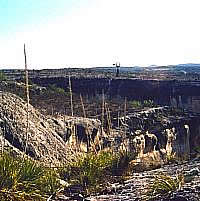 Many of the deeply incised canyons are lined by cliffs, their walls so steep that they are all but invisible until you are almost standing on the canyon edge. Viewed from the air, the canyons form tree-like patterns with the rivers as trunks and the smaller streams and side canyons forming limbs and branches twisting and turning across the land. Photo by Steve Black.