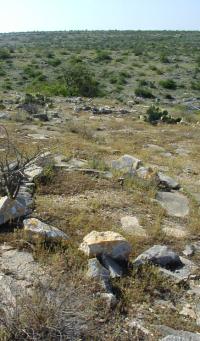 Tipi or wickiup ring at an Infierno phase site in the Lower Pecos. These sites are situated at prominent points overlooking canyons and are thought to date after A.D. 1500, perhaps representing groups of Plains Indians. Photo by Steve Black.