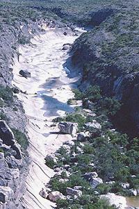 Seminole Canyon. In the background the canyon floor has been scoured by flood, in the foreground stacked up boulders trap soil and moisture and provide shelter for trees and shrubs. Photo by Steve Black.