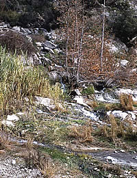 photo of springs