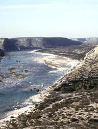 photo of Devils River