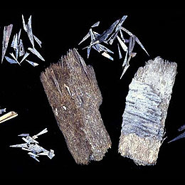 photo of two “pincushions” made from agave and hundreds of agave spines recovered from Cueva Pilote