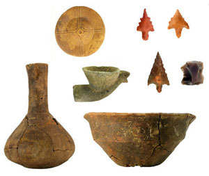 photo of key artifact types from the Pine Tree Mound site