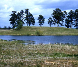 photo of Mound A