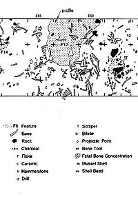 plan map of refuse at Rush site